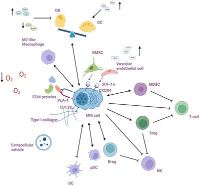 Advancements in microenvironment-based therapies: transforming the landscape of multiple myeloma treatment